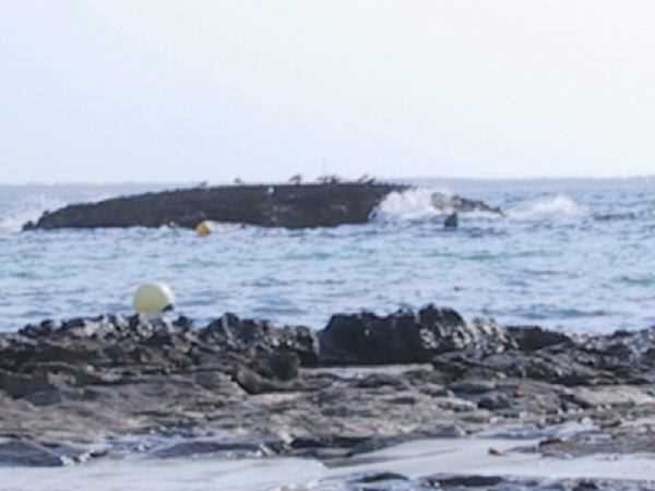 116-1674_img.jpg