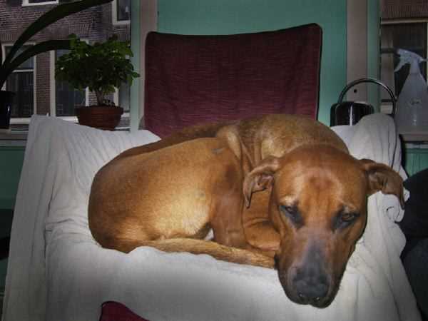 127-2764_IMG-2.jpg