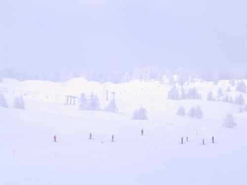 158-5878_IMG.JPG