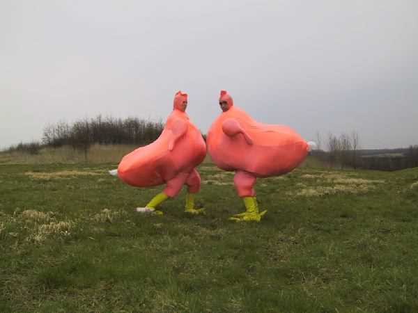 172-7260_IMG.JPG