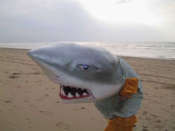 173-7310_IMG.JPG