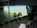 207-0736_img