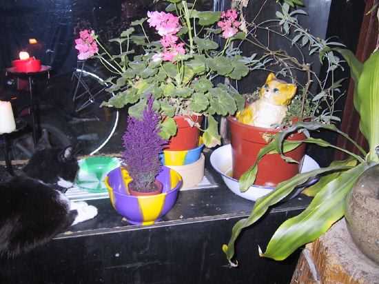 255-5551_img