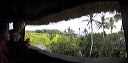 viewbetty