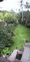 viewbetty2