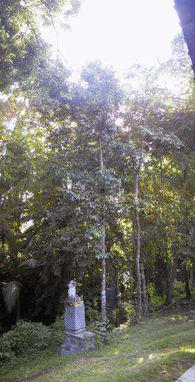 sungai01