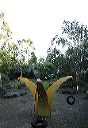 binnentuin01