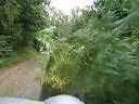 mvi_2364fopz245001
