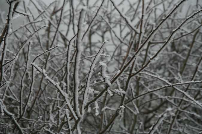 img_1039