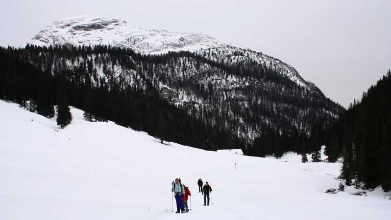 img_2236-1