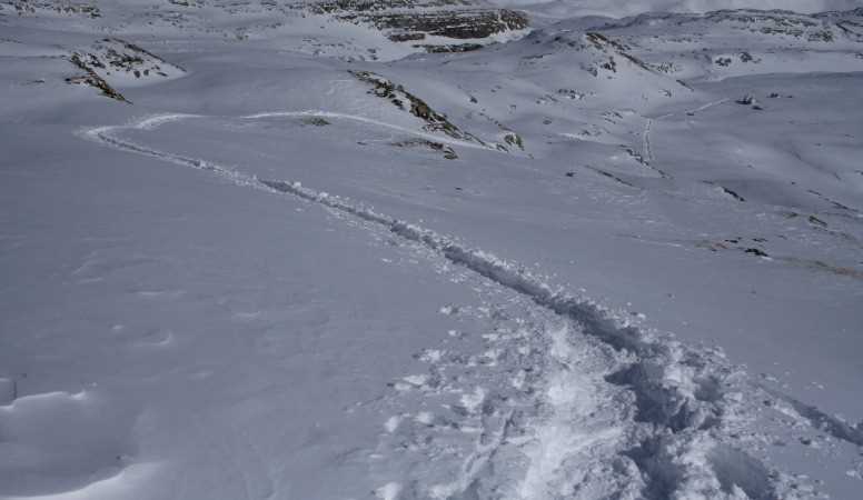img_2510-1