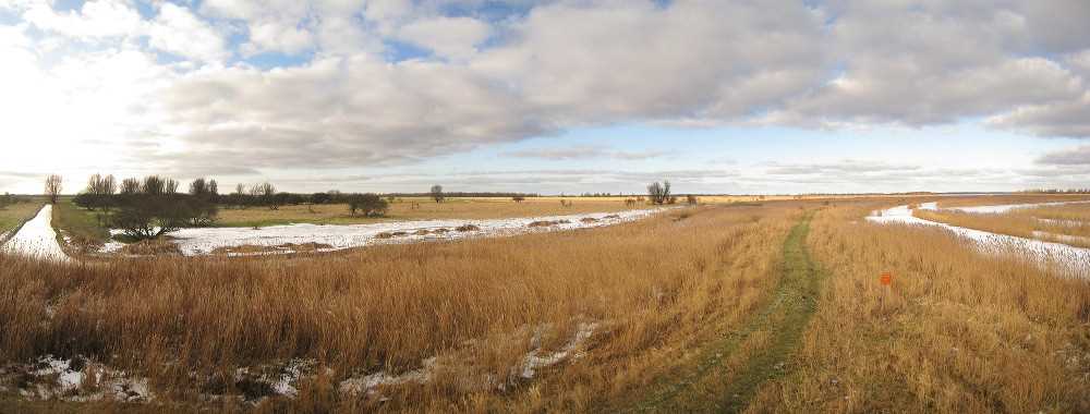 stg_4594_panorama.jpg