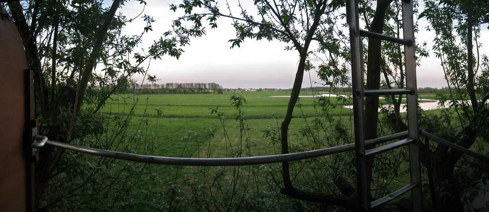 ste_0609_panorama.jpg