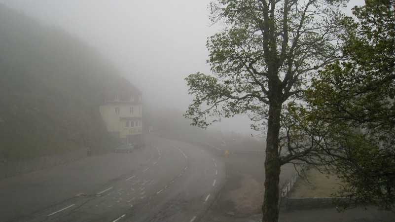 img_1225.jpg