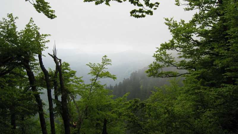 img_1230.jpg
