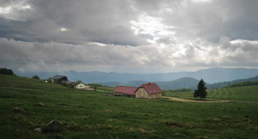 img_1232.jpg
