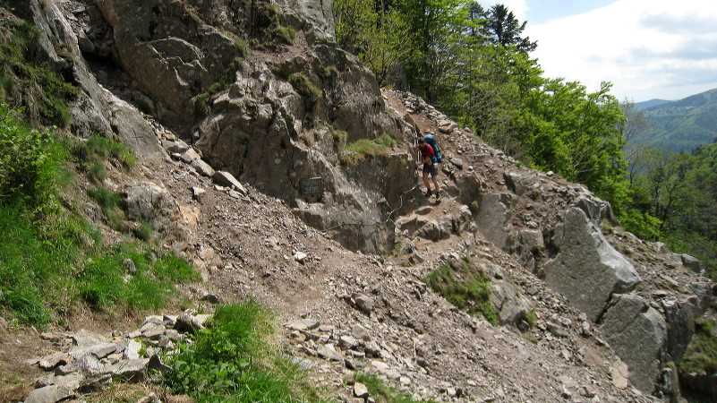 img_1266.jpg