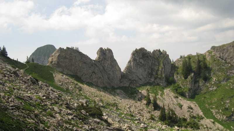 105_1935.jpg