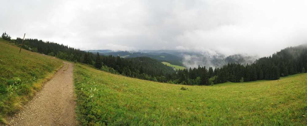 feldberg