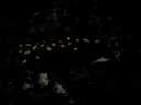 mov06127lg_prog001