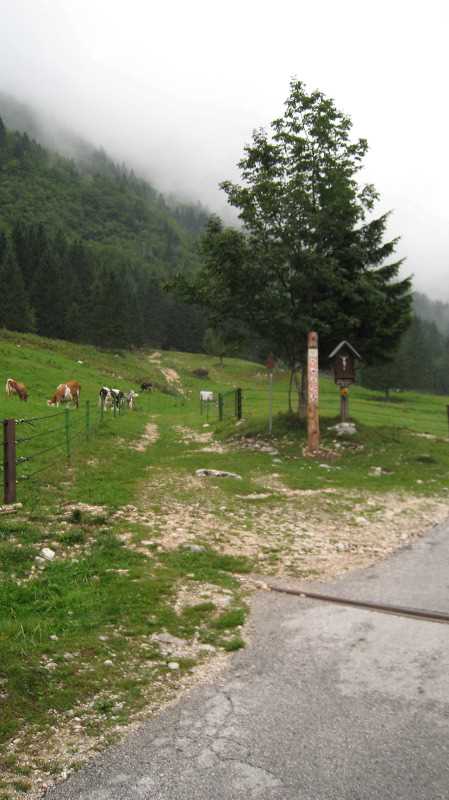 img_3167.jpg