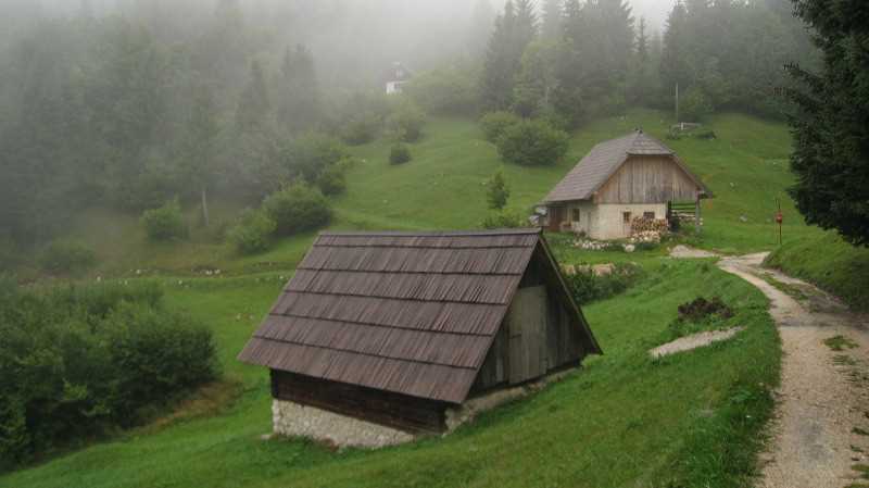 img_3175.jpg