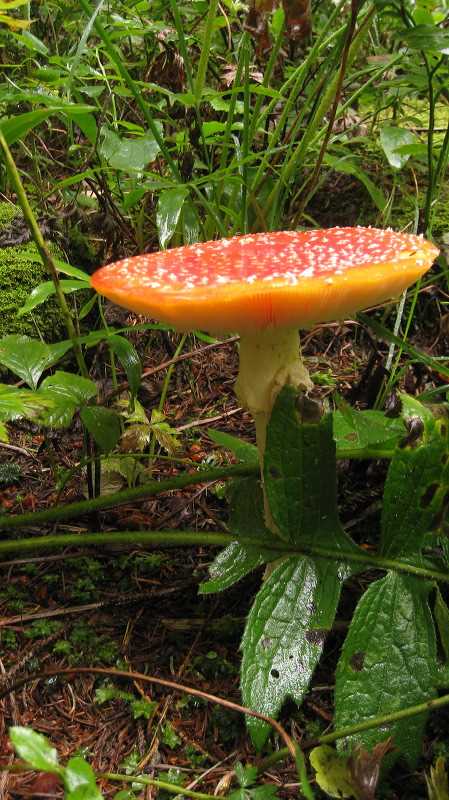 img_3179.jpg