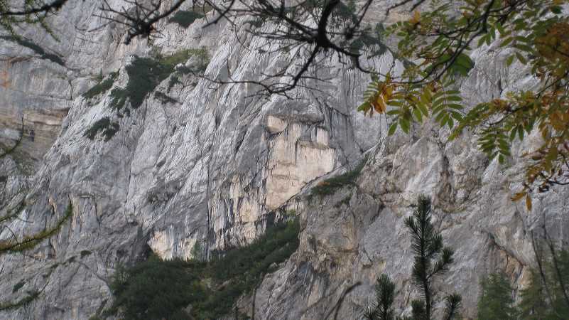img_3957.jpg