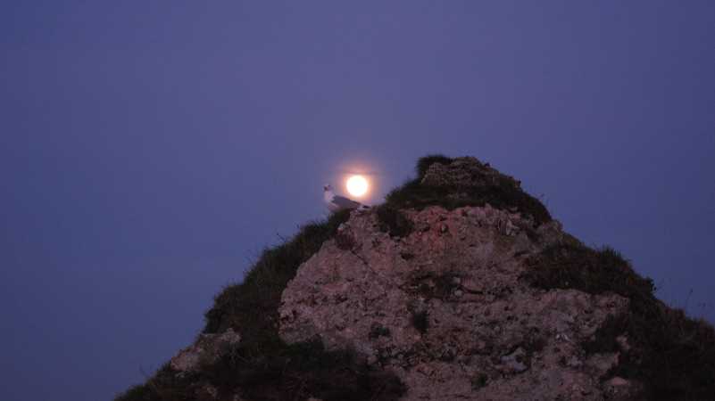 img_1820.jpg