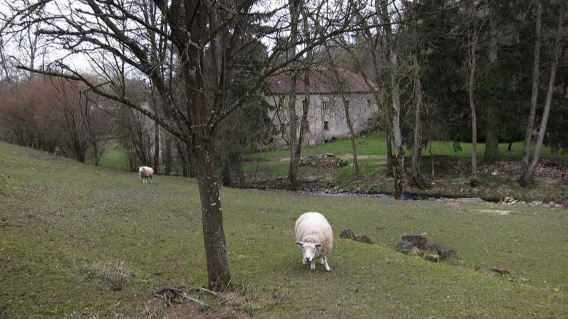 img_2487.jpg