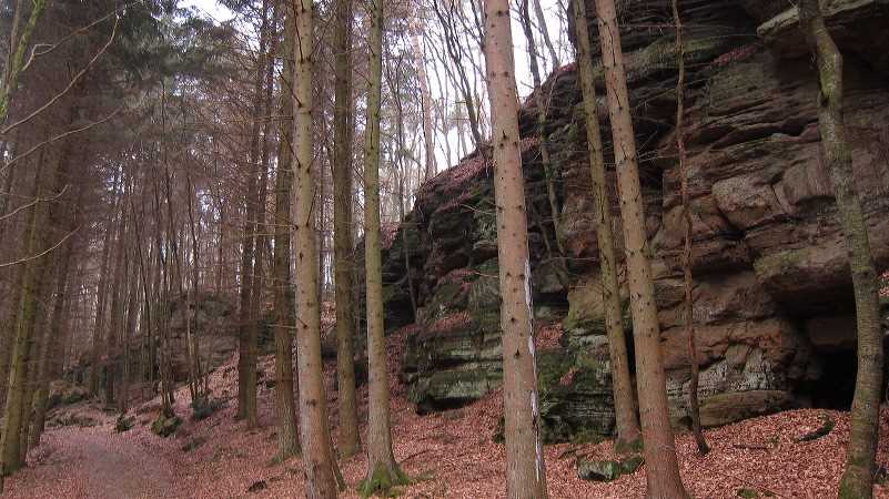 img_2503.jpg