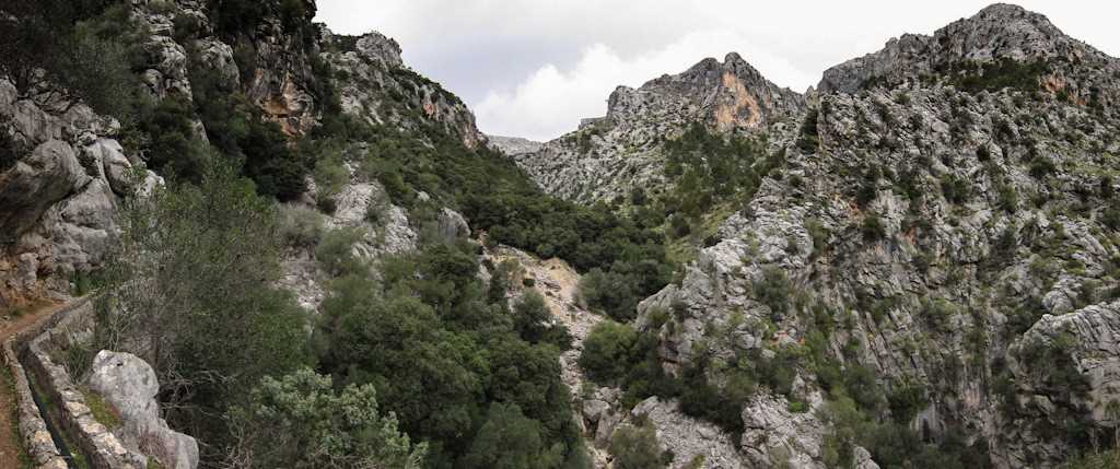 ste_1615_panorama.jpg